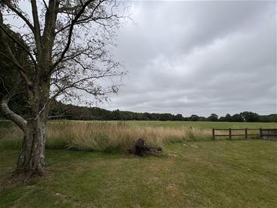 Picture 20